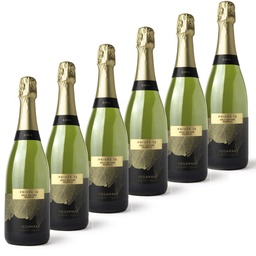 [1BNP18EX6] CAJA 6 BOTELLAS CAVA VEGAMAR PRIVEE 18 ECO